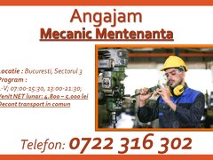 Mecanic mentenanta